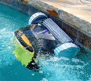 Triton pool cleaner
