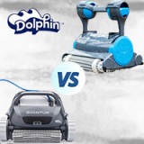 Dolphin Quantum vs. Premier: Comparison Review
